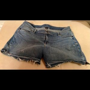 Lane Bryant, size 20, shorts